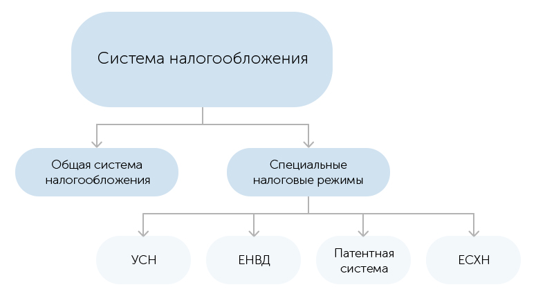Что нужно знать, открывая ООО?