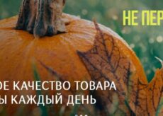 Польза инфракрасной сауны в квартире