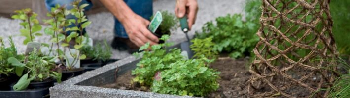 Бордюры из бетона разного типа